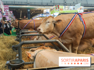 Salon de l'agriculture 2023 - 20230227160845 IMG 3949