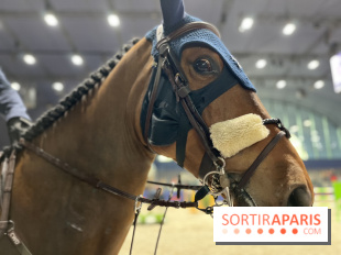 cheval - Saut Hermès - IMG 0975