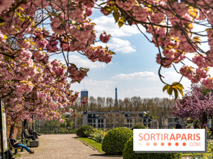 Parc de Bécon à Courbevoie - Pavillon des Indes - Cerisiers en fleurs
