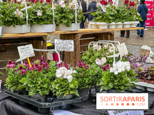 Esprit Jardin à Versailles - Marché aux plantes et animations  - IMG 6125