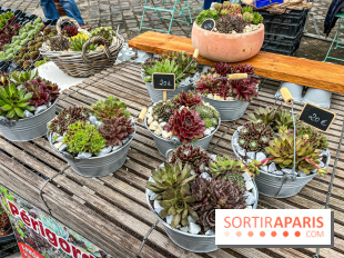 Esprit Jardin à Versailles - Marché aux plantes et animations  - IMG 6093