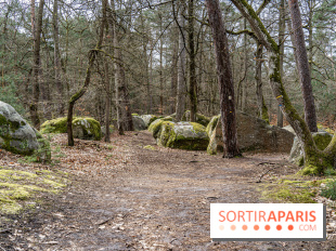 Barbizon, le village entre art et nature