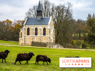 Domaine National de Port-Royal des Champs dans les Yvelines -  A7C3207