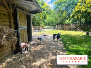 La ferme de la Villette et ses animaux