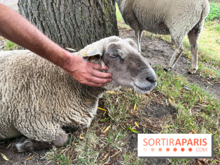 La ferme de Saint-Cyr l'Ecole - image00075