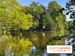 Les lacs et rivières du Vésinet, dans les Yvelines