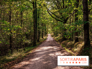 Le sentier des Maréchaux à Senlisse - Vallée de Chevreuse - départ
