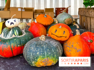 Automne au Potager du Roi - Citrouilles - Halloween