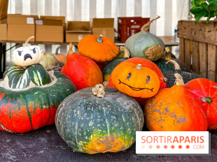 Automne au Potager du Roi - Citrouilles - Halloween
