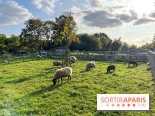 La ferme pédagogique du parc des Chanteraines