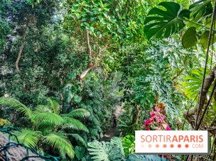 Automne Tropical 2023