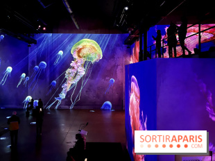 Océans, l'Odyssée Immersive à l'Atelier des Lumières