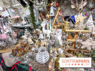 Le Marché de Noël de Janvry - IMG 3841