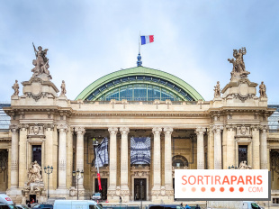 Visuel Paris 8e - Grand Palais