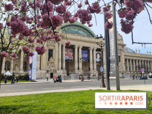 Visuel Paris 8e - Grand Palais printemps 