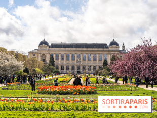 Visuel Paris 5e -  jardin des plantes - museum - printemps - cerisiers