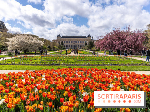 Visuel Paris 5e -  jardin des plantes - museum - printemps - fleurs