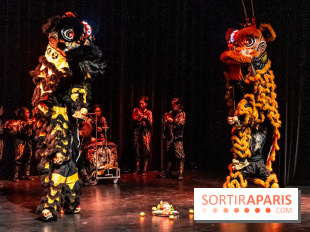 Nouvel An lunaire au Musée Guimet par le Collectif Banh Mi -  A7C6980