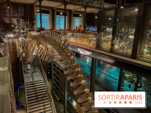 Grande Galerie de l'évolution- visuels 2024 - image00076