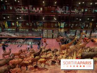 Grande Galerie de l'évolution- visuels 2024 - image00028