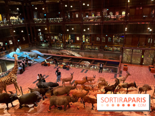 Grande Galerie de l'évolution- visuels 2024 - image00033