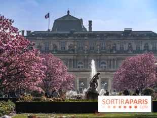 Les magnolias du Jardin du Palais Royal  - printemps - visuel Paris