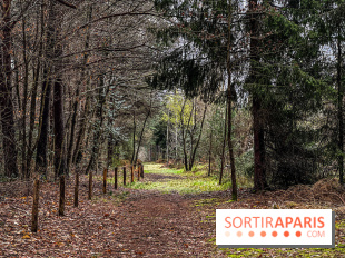 Arbor&Sens, l'Arboretum de Franchard en forêt de Fontainebleau - les photos
