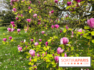 Jardin de l'Ecole du Breuil - nos photos - image00014