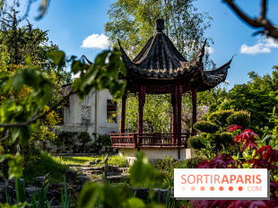 Jardin Yili, le jardin chinois caché dans les Yvelines -  A7C2215