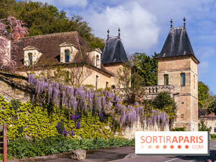 Village de Medan dans les Yvelines -  château de Medan - glycine