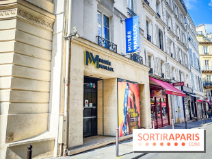 Le musée Maillol et ses collections à Paris - IMG20240425112747