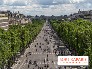 Grand pique nique des Champs-Élysées - photos  -  A7C4826