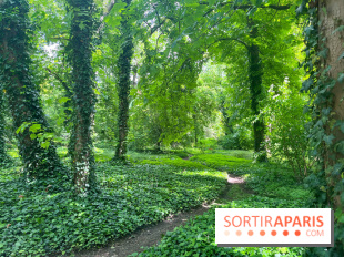 Le parc de la Légion d'honneur de Saint-Denis - nos photos - image00008