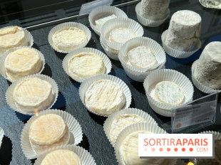 Fromagerie Lyre - Fromages