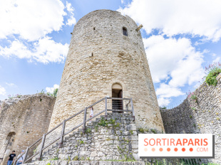 Le Château de la Roche Guyon, le château troglodyte dans le Val-d'Oise - 95 -  donjon