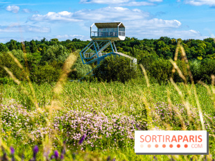 Le Parc du peuple de l'herbe dans les Yvelines - Étang de Galiotte - Carrières-sous-Poissy