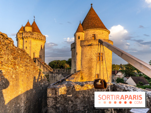 Le Château de Blandy-les-Tours en Seine-et-Marne (77), nos photos -  A7C7975