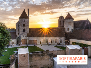 Le Château de Blandy-les-Tours en Seine-et-Marne (77), nos photos