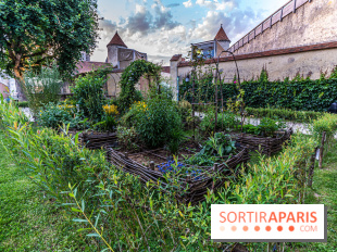 Le Château de Blandy-les-Tours en Seine-et-Marne (77), nos photos -  A7C7993