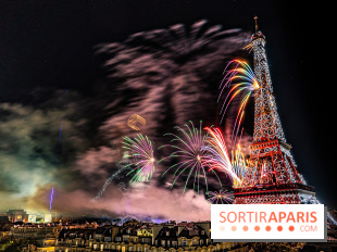 Feu d'artifice du 14 juillet de Paris 2024, les photos