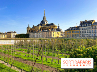 Les Saveurs du Potager du Roi à Versailles : marché de fruits & légumes, expositions et animations - image00055