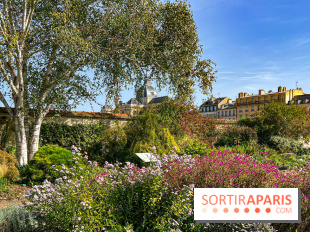 Les Saveurs du Potager du Roi à Versailles : marché de fruits & légumes, expositions et animations