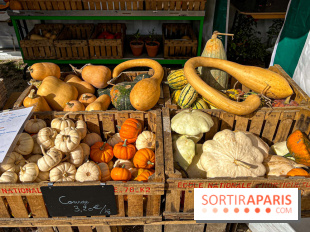 Les Saveurs du Potager du Roi à Versailles : marché de fruits & légumes, expositions et animations