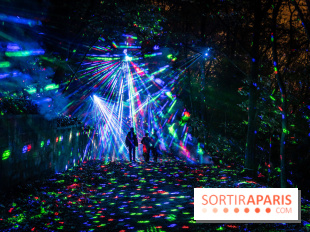 Lumières en Seine 2024, le parcours de lumières féérique et animé  -  A7C6847