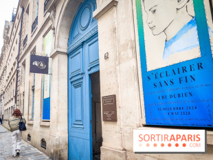 S'éclairer sans fin : l'exposition poétique d'Edi Dubien au musée de la Chasse et de la Nature - photos - IMG20241209154311