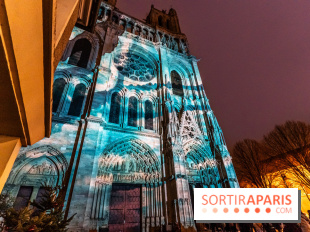 Lueurs de Mantes 2024, le parcours lumineux dans les Yvelines - photos -  A7C9178