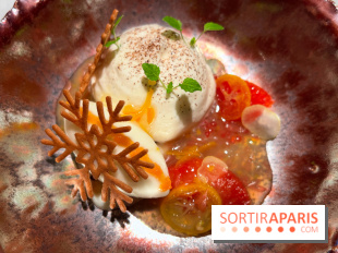 Virtus - Dessert main de bouddha