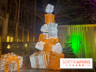 Bel Hiver Saint-Denis 2024 - nos photos - image00017