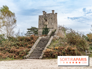 Randonnée à Fontainebleau : le sentier sur les pas de Denecourt jusqu’à la Tour Denecourt -  A7C7600