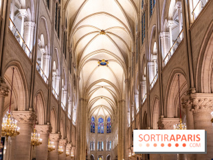 Visite de Notre-Dame de Paris